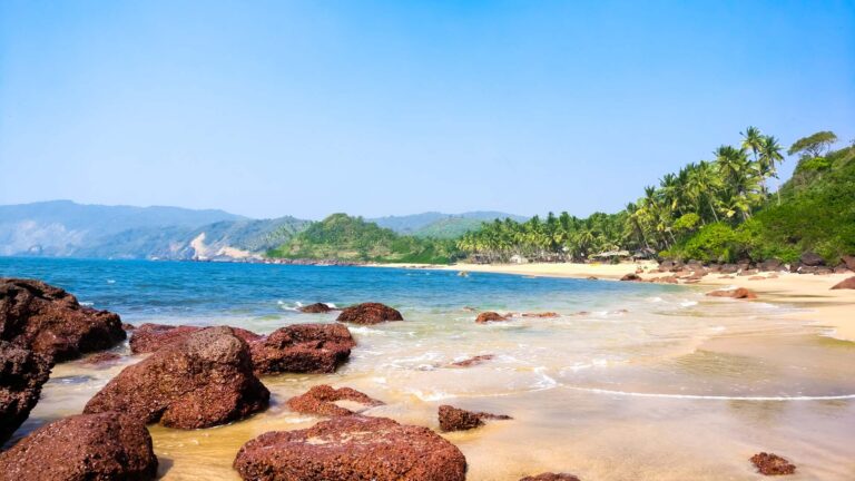 North Goa Tour gallery
